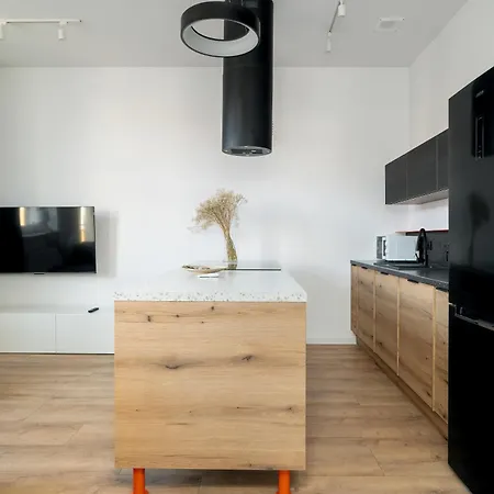 Klimatyzowane I Stylowe W Poznaniu Blisko Parku By Renters Poznań