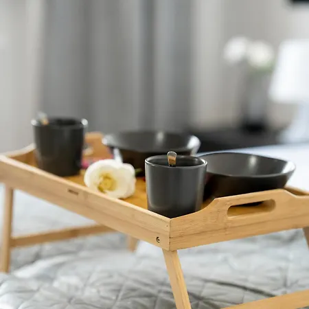 Klimatyzowane I Stylowe W Poznaniu Blisko Parku By Renters * Poznań