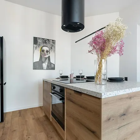 Klimatyzowane I Stylowe W Poznaniu Blisko Parku By Renters Poznań